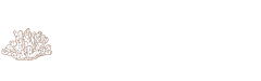 Bayence