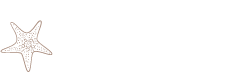 Pelorus