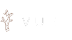 Vue
