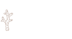 Vue